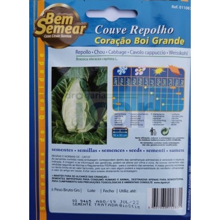 copy of Couve Repolho Coração de Boi Grande