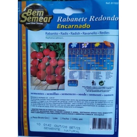 Rabanete Redondo Encarnado10gr