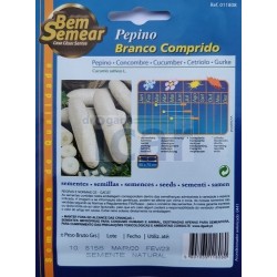 copy of Pepino Branco