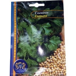 Sementes de Coentros Comuns 12gr