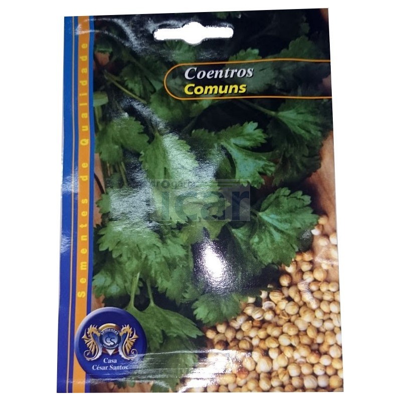 Sementes de Coentros Comuns 12gr