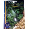 Sementes de Coentros Comuns 12gr