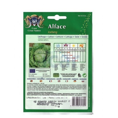 Alface Iceberg