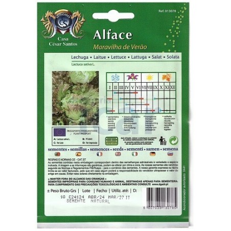 Alface Maravilha de Verão 10gr