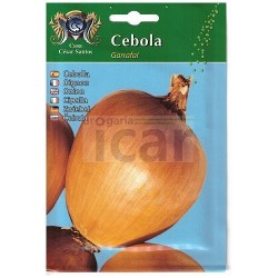Garrafal Onion Seeds (Pear-Shaped) 10gr