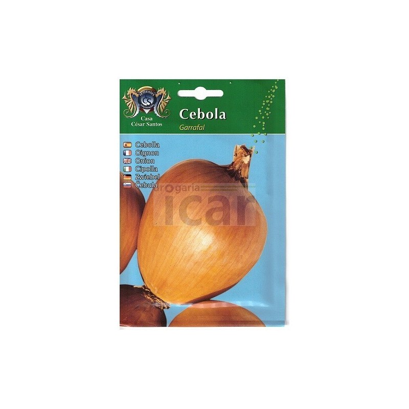 Garrafal Onion Seeds (Pear-Shaped) 10gr