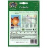 Garrafal Onion Seeds (Pear-Shaped) 10gr