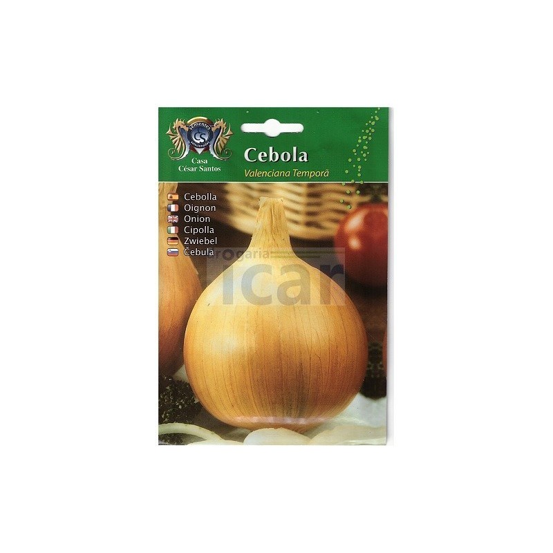 copy of CEBOLA VALENCIANA TARDIA 10GR