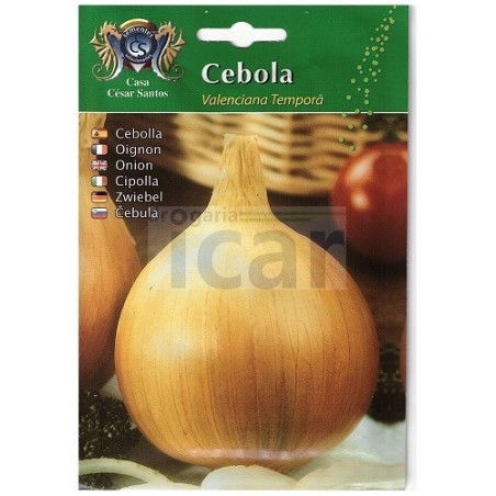 copy of CEBOLA VALENCIANA TARDIA 10GR