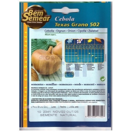 Cebola Texas Grano