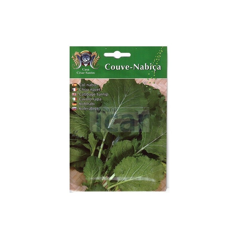 Sementes de Couve Nabiça 20gr
