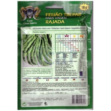 Feijão Trepar para Vagem Rajada