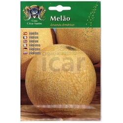 Meloa Ananás América