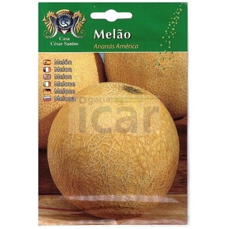 copy of MELAO CASCA DE CARVALHO