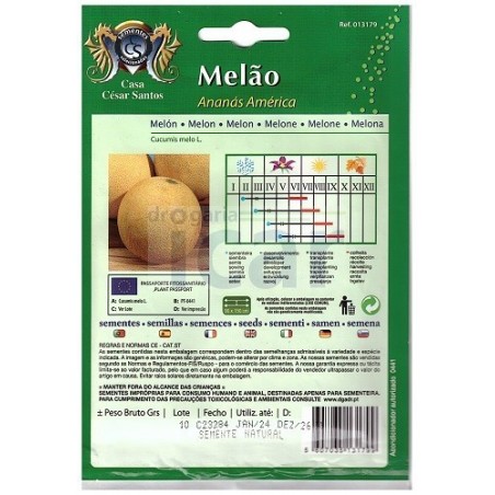 Meloa Ananás América