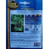 Portuguese Turnip Greens Seeds (Nabiça) 25gr