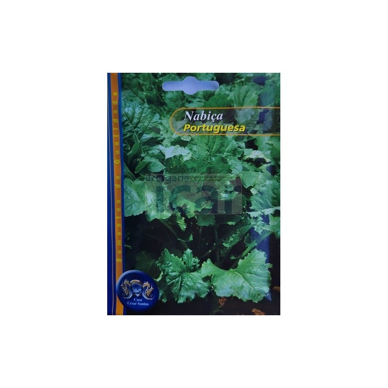 Portuguese Turnip Greens Seeds (Nabiça) 25gr