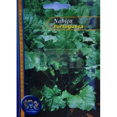 Portuguese Turnip Greens Seeds (Nabiça) 25gr