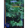 Portuguese Turnip Greens Seeds (Nabiça) 25gr