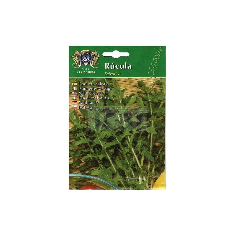 Sementes de Rúcula Selvatica 8gr