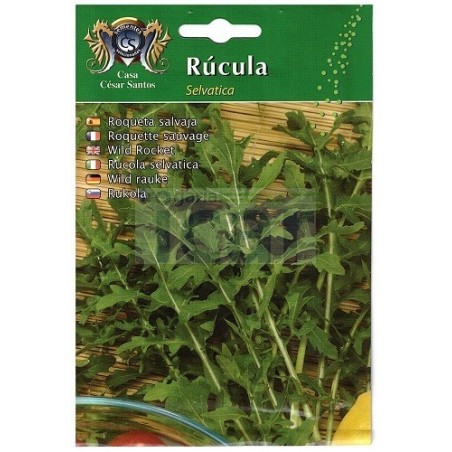 Wild Rocket Seeds (Rúcula Selvatica) 8gr