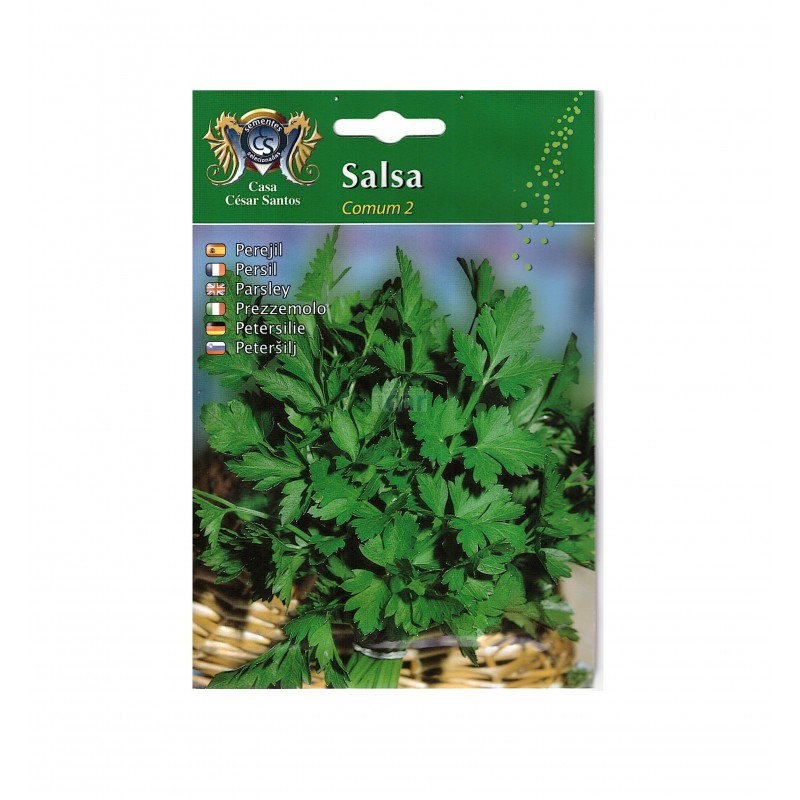 Sementes de Salsa Comum 2 Casa César Santos 12gr