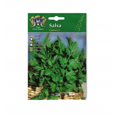 Sementes de Salsa Comum 2 Casa César Santos 12gr