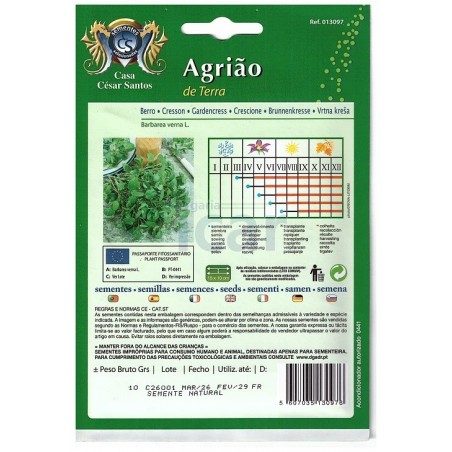 Casa César Santos Land Cress Seeds 10gr