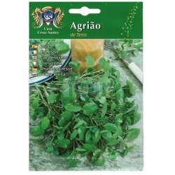Sementes de Agrião de Terra Casa César Santos 10gr