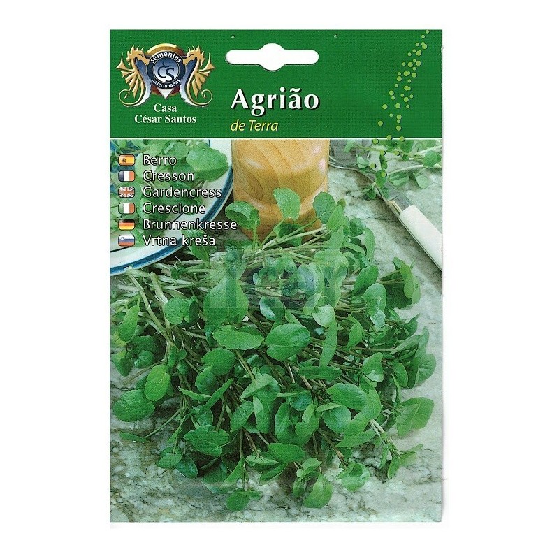 Sementes de Agrião de Terra Casa César Santos 10gr