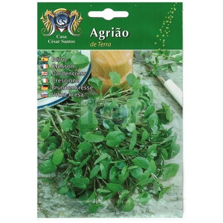 Casa César Santos Land Cress Seeds 10gr