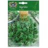 Casa César Santos Land Cress Seeds 10gr