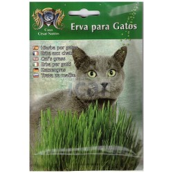 Casa César Santos Cat Grass Seeds 17gr