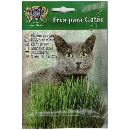 Sementes de Erva para Gatos Casa César Santos 17gr