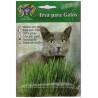 Sementes de Erva para Gatos Casa César Santos 17gr