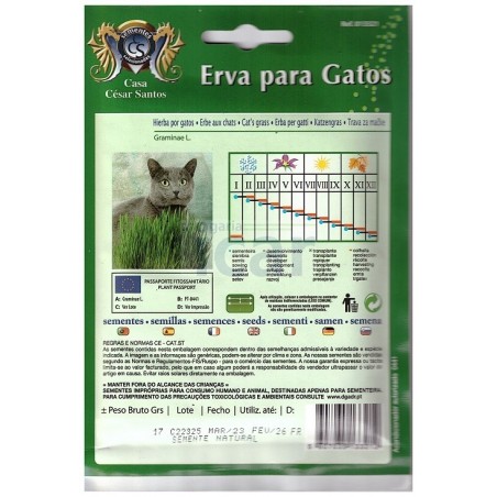 Casa César Santos Cat Grass Seeds 17gr