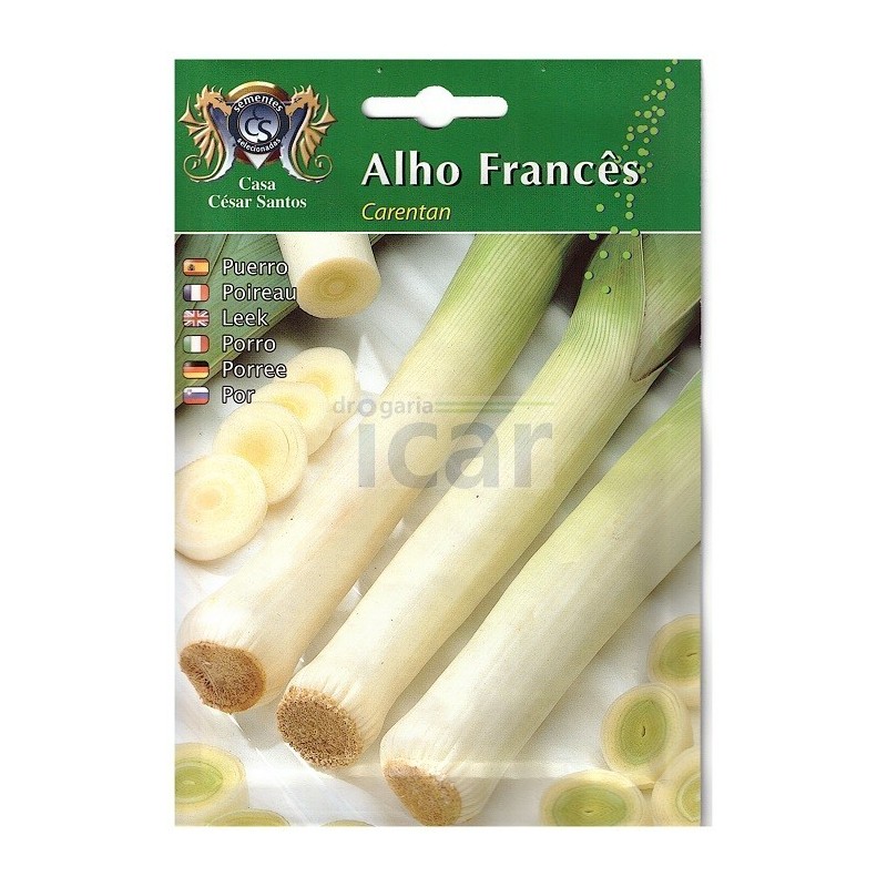 Sementes de Alho-Francês Carentan 2 Casa César Santos 11gr