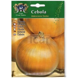 Valenciana Late Onion Seeds (Large Bulb) 11gr