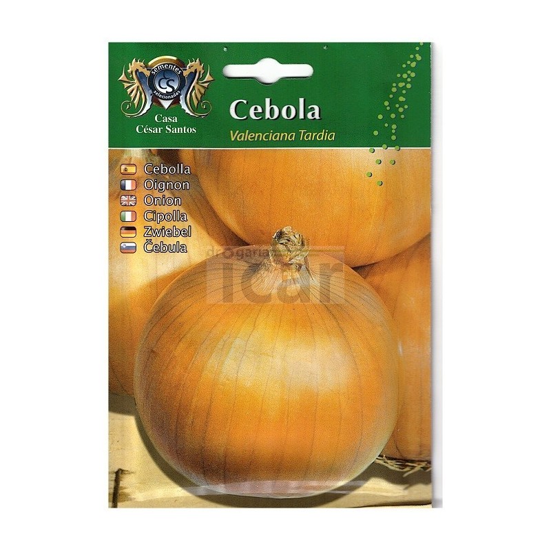 Valenciana Late Onion Seeds (Large Bulb) 11gr