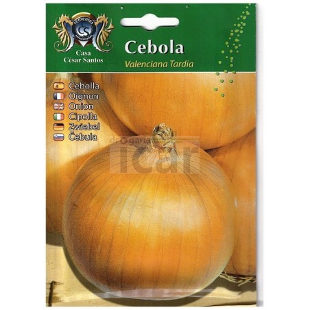 Valenciana Late Onion Seeds (Large Bulb) 11gr