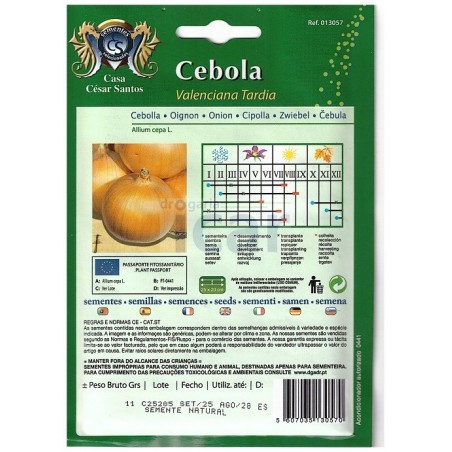 Valenciana Late Onion Seeds (Large Bulb) 11gr