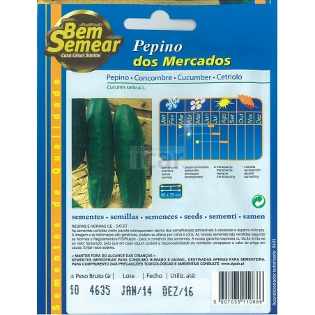 Pepino Verde dos Mercados cs