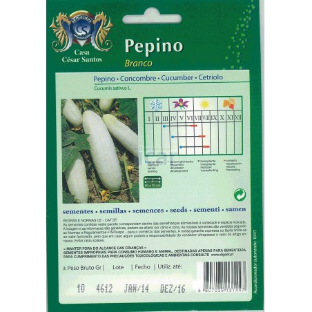 Pepino Branco 