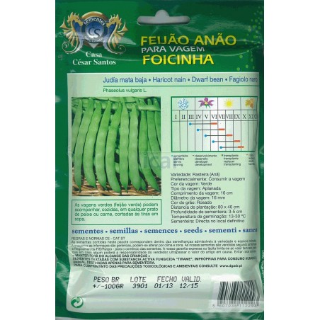 Feijão Anão para vagem Foicinha