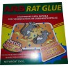 ARS Rat Glue - 2 Armadilhas para Ratos