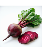 Packet Beetroot Seeds | Icarpedome Online Store
