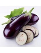 Packet Aubergine Seeds | Icarpedome Online Store